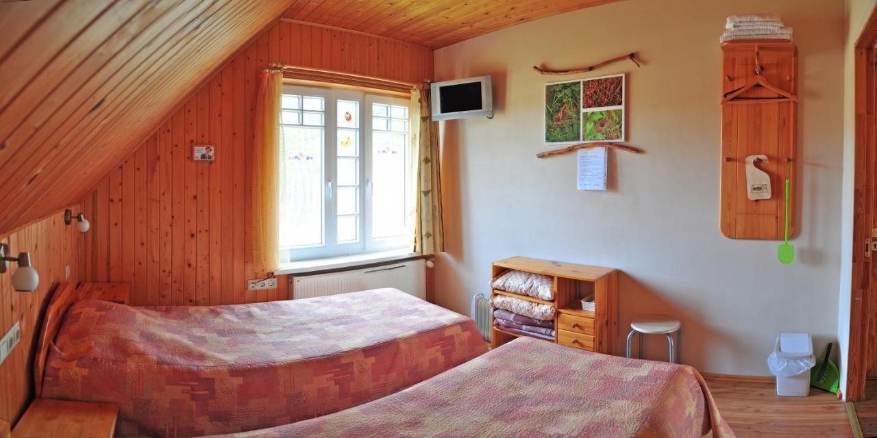 Guesthouse Leiputrija Адажі Екстер'єр фото